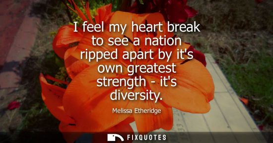 Small: I feel my heart break to see a nation ripped apart by its own greatest strength - its diversity