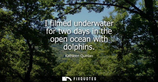 Small: I filmed underwater for two days in the open ocean with dolphins