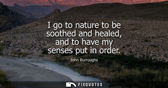 Small: I go to nature to be soothed and healed, and to have my senses put in order