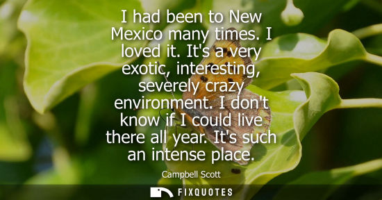 Small: I had been to New Mexico many times. I loved it. Its a very exotic, interesting, severely crazy environ