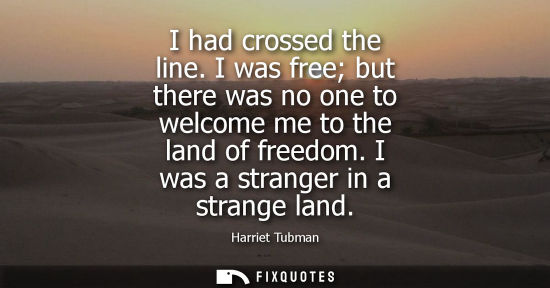Small: I had crossed the line. I was free but there was no one to welcome me to the land of freedom. I was a stranger