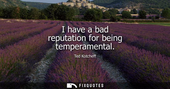Small: I have a bad reputation for being temperamental