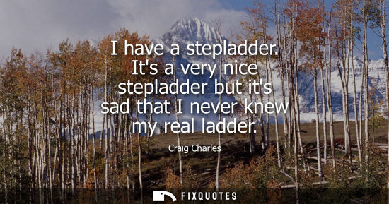 Small: I have a stepladder. Its a very nice stepladder but its sad that I never knew my real ladder