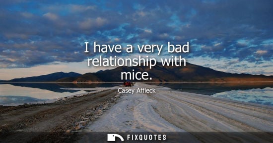 Small: I have a very bad relationship with mice