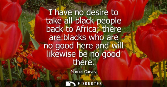 Small: I have no desire to take all black people back to Africa there are blacks who are no good here and will