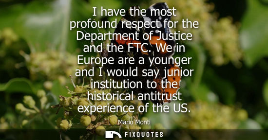 Small: I have the most profound respect for the Department of Justice and the FTC. We in Europe are a younger 