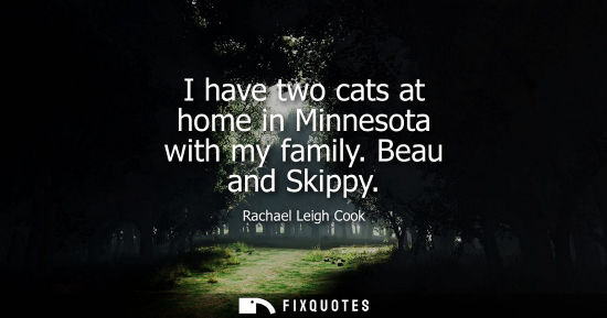 Small: I have two cats at home in Minnesota with my family. Beau and Skippy