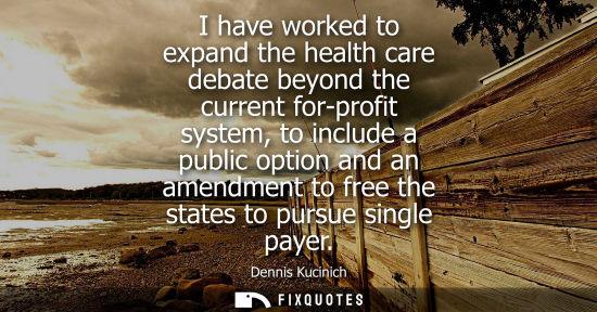 Small: I have worked to expand the health care debate beyond the current for-profit system, to include a publi