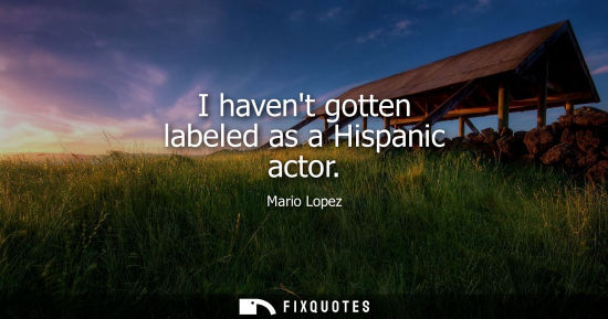 Small: I havent gotten labeled as a Hispanic actor