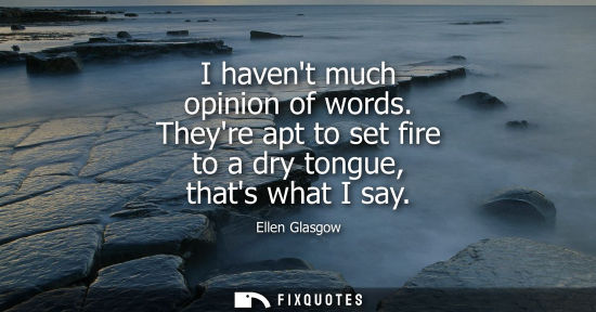 Small: I havent much opinion of words. Theyre apt to set fire to a dry tongue, thats what I say