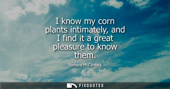 Small: I know my corn plants intimately, and I find it a great pleasure to know them