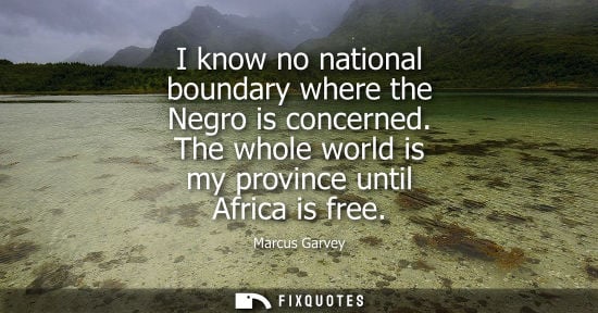 Small: I know no national boundary where the Negro is concerned. The whole world is my province until Africa i