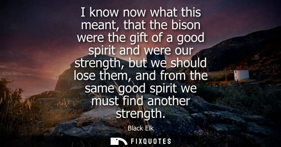 Small: I know now what this meant, that the bison were the gift of a good spirit and were our strength, but we