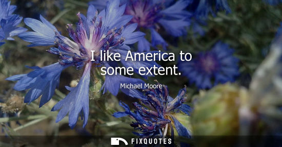 Small: I like America to some extent