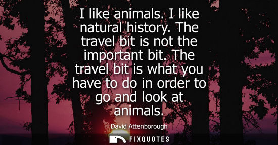 Small: I like animals. I like natural history. The travel bit is not the important bit. The travel bit is what