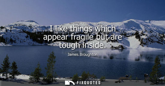 Small: I like things which appear fragile but are tough inside
