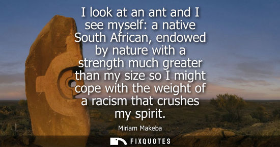Small: I look at an ant and I see myself: a native South African, endowed by nature with a strength much greater than