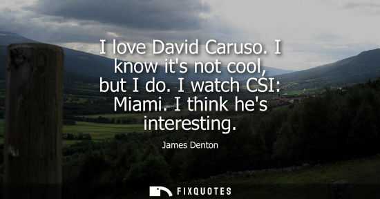 Small: I love David Caruso. I know its not cool, but I do. I watch CSI: Miami. I think hes interesting