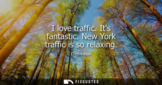 Small: I love traffic. Its fantastic. New York traffic is so relaxing