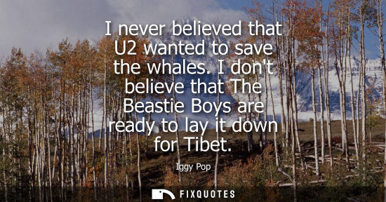 Small: I never believed that U2 wanted to save the whales. I dont believe that The Beastie Boys are ready to l