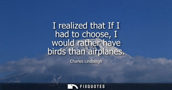 Small: I realized that If I had to choose, I would rather have birds than airplanes