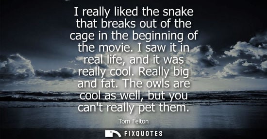 Small: I really liked the snake that breaks out of the cage in the beginning of the movie. I saw it in real life, and