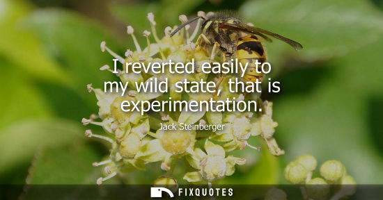 Small: I reverted easily to my wild state, that is experimentation