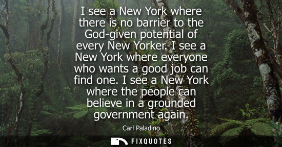 Small: I see a New York where there is no barrier to the God-given potential of every New Yorker. I see a New 