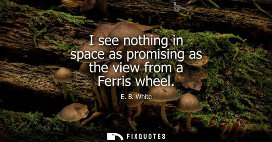Small: I see nothing in space as promising as the view from a Ferris wheel