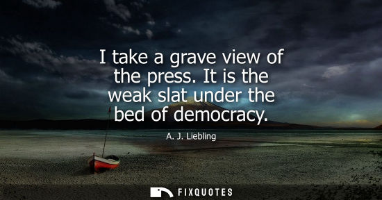 Small: I take a grave view of the press. It is the weak slat under the bed of democracy