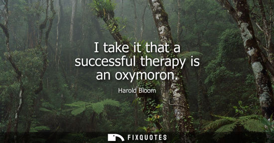Small: I take it that a successful therapy is an oxymoron