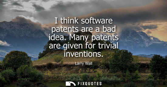 Small: I think software patents are a bad idea. Many patents are given for trivial inventions