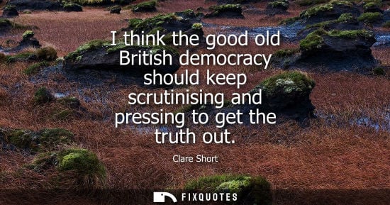 Small: I think the good old British democracy should keep scrutinising and pressing to get the truth out
