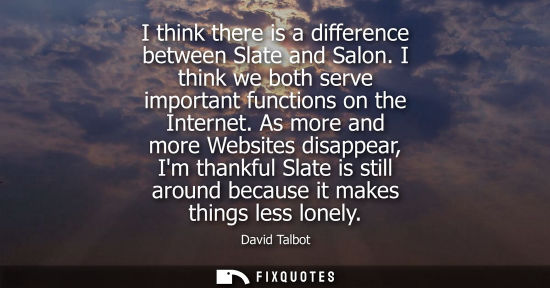 Small: I think there is a difference between Slate and Salon. I think we both serve important functions on the