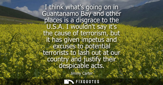 Small: I think whats going on in Guantanamo Bay and other places is a disgrace to the U.S.A. I wouldnt say its the ca