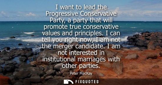 Small: I want to lead the Progressive Conservative Party, a party that will promote true conservative values a