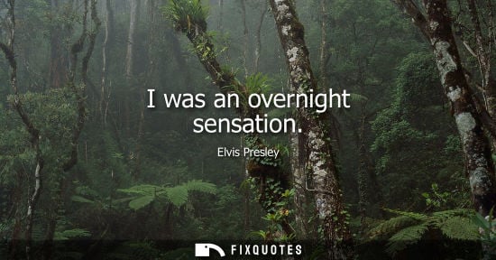 Small: I was an overnight sensation