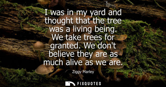 Small: I was in my yard and thought that the tree was a living being. We take trees for granted. We dont belie