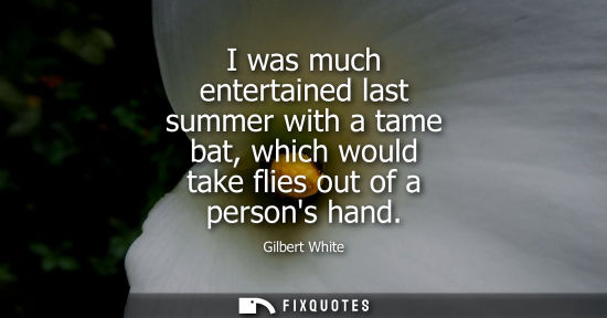 Small: I was much entertained last summer with a tame bat, which would take flies out of a persons hand