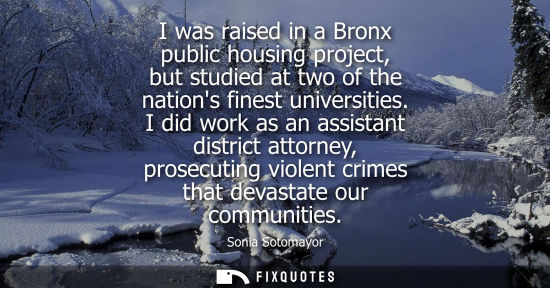 Small: I was raised in a Bronx public housing project, but studied at two of the nations finest universities.