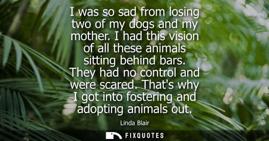 Small: I was so sad from losing two of my dogs and my mother. I had this vision of all these animals sitting b