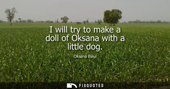 Small: I will try to make a doll of Oksana with a little dog