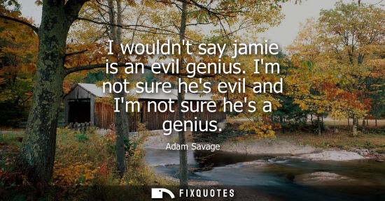 Small: I wouldnt say jamie is an evil genius. Im not sure hes evil and Im not sure hes a genius