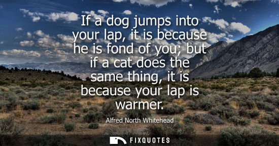 Small: If a dog jumps into your lap, it is because he is fond of you but if a cat does the same thing, it is b