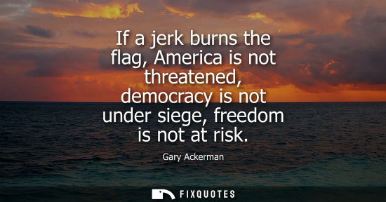 Small: If a jerk burns the flag, America is not threatened, democracy is not under siege, freedom is not at ri