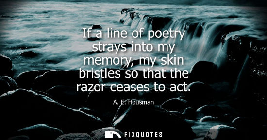 Small: If a line of poetry strays into my memory, my skin bristles so that the razor ceases to act
