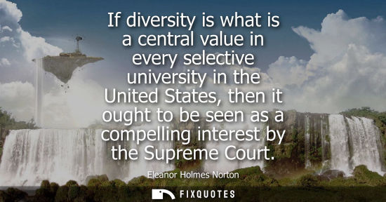 Small: If diversity is what is a central value in every selective university in the United States, then it oug