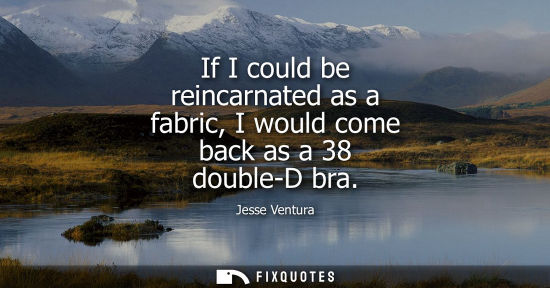 Small: If I could be reincarnated as a fabric, I would come back as a 38 double-D bra