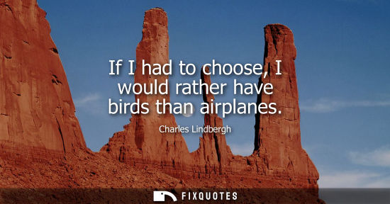Small: If I had to choose, I would rather have birds than airplanes