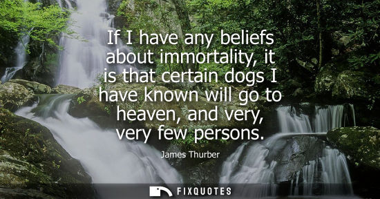 Small: If I have any beliefs about immortality, it is that certain dogs I have known will go to heaven, and very, ver